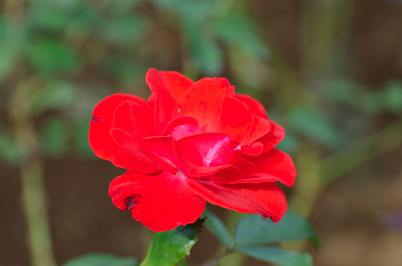 image0369