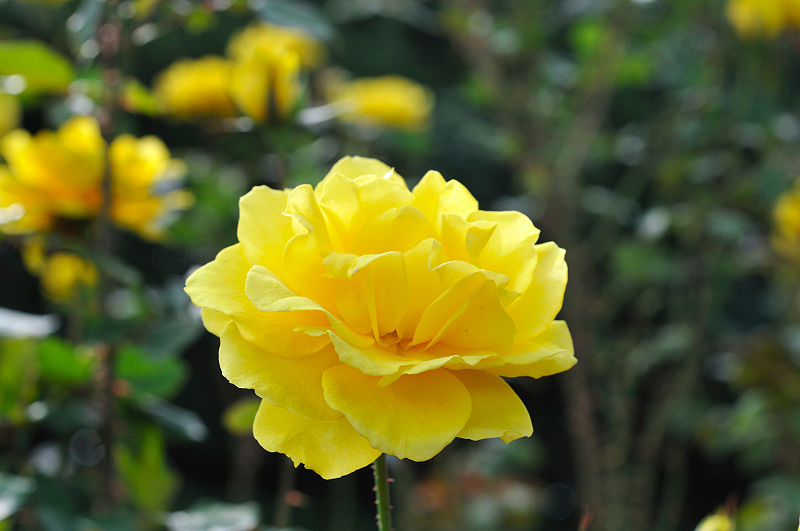 image0376
