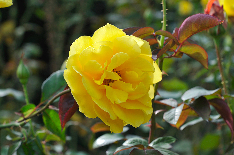 image0377