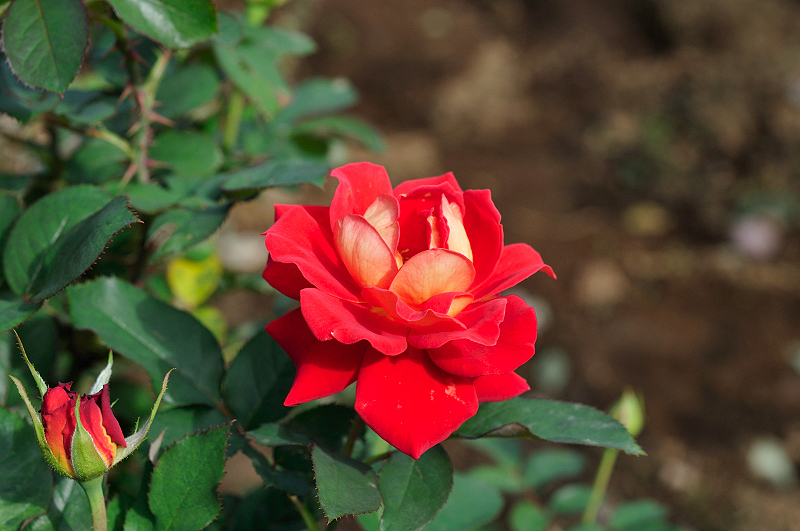 image0386