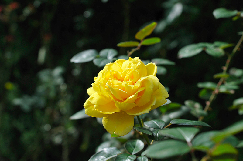 image0389
