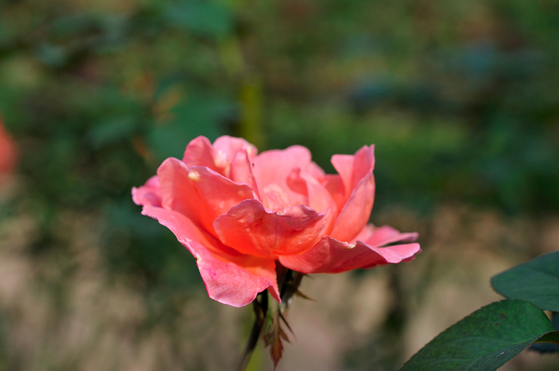image0392