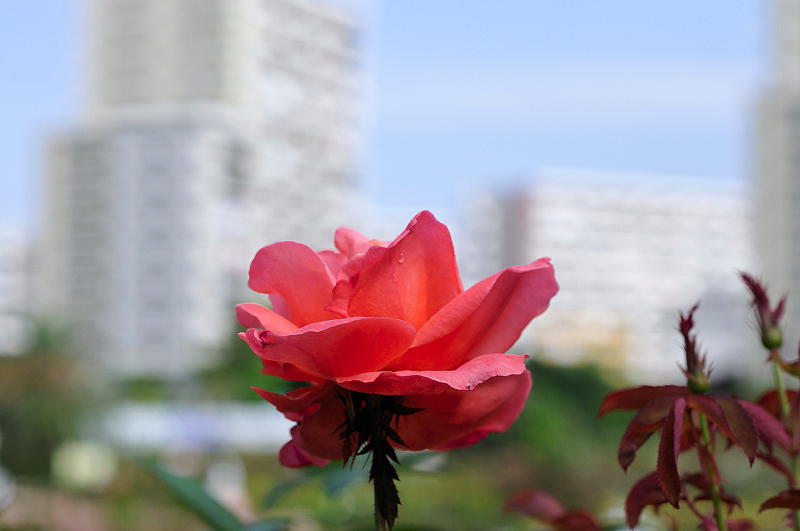 image0393