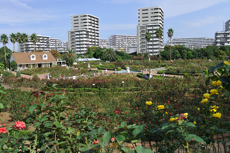 image0395