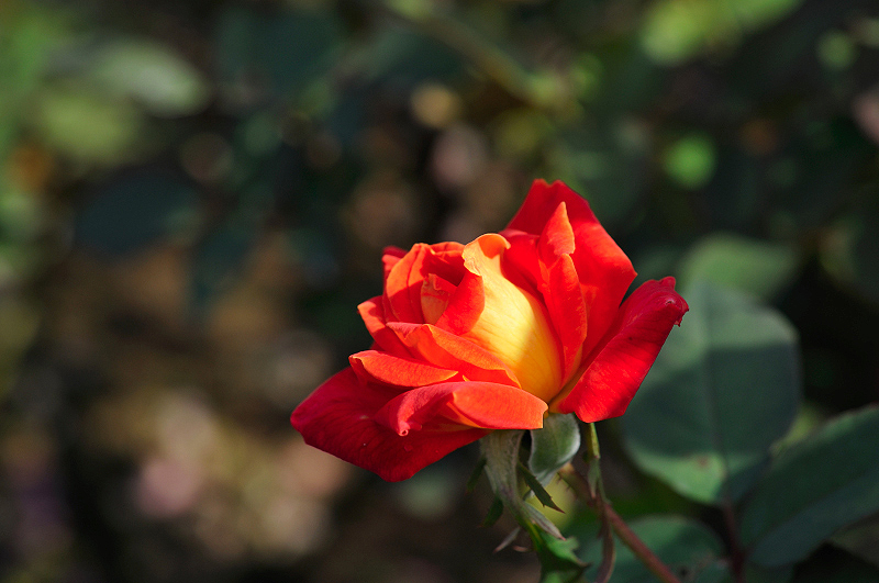 image0398