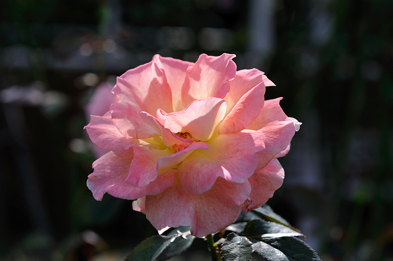 image0400
