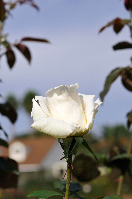 image0402