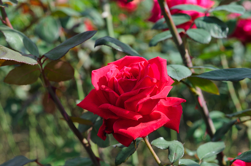 image0403