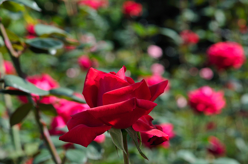 image0404