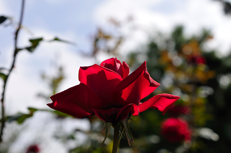 image0405