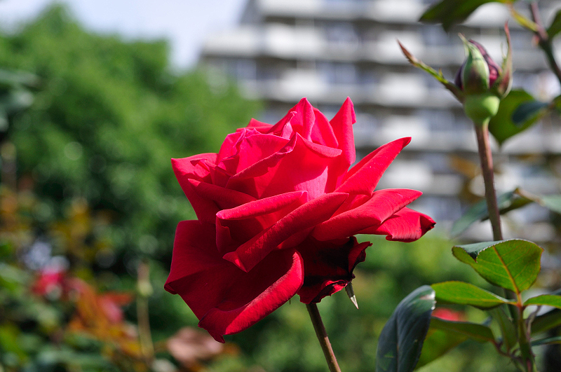 image0406