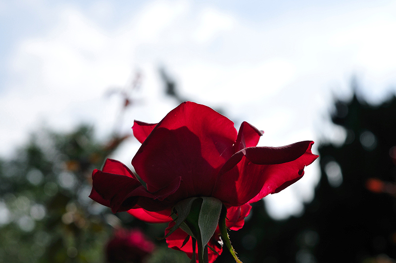 image0408