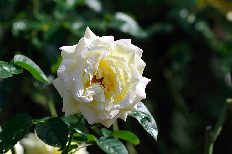 image0410