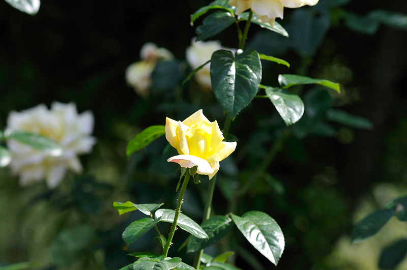 image0412