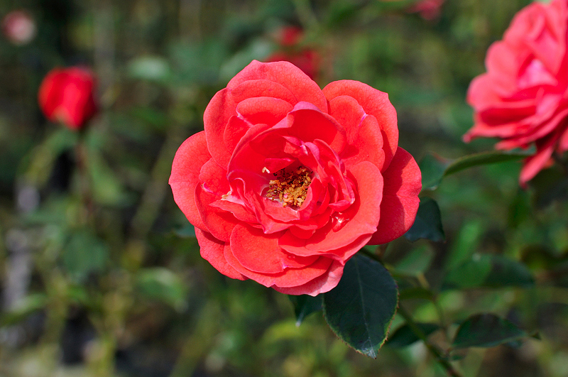 image0418
