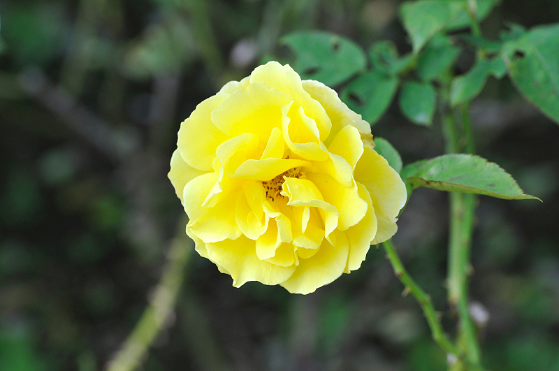 image0439