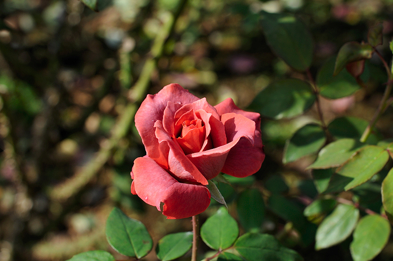 image0451