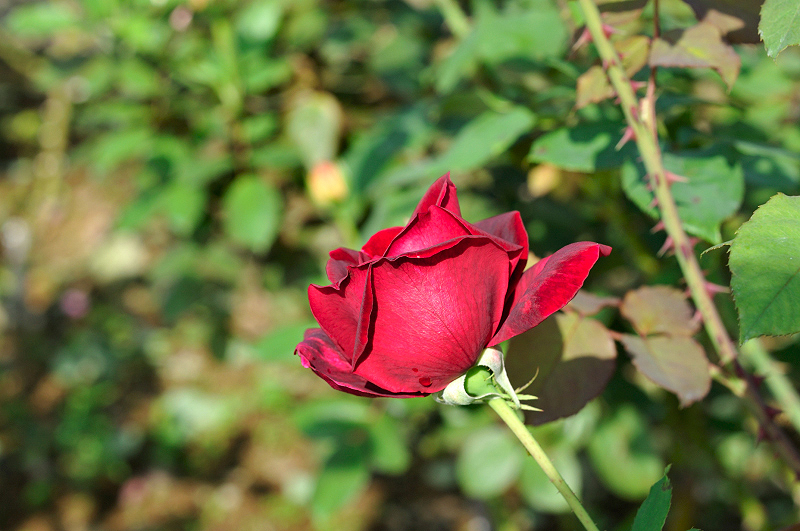 image0466