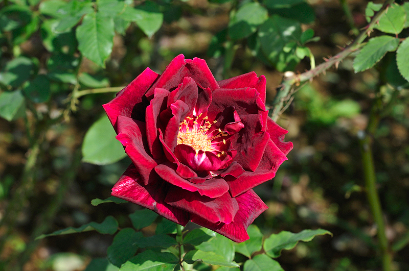 image0467