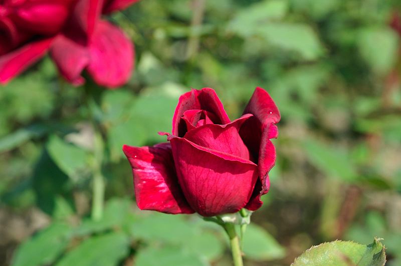 image0468