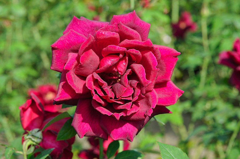 image0469