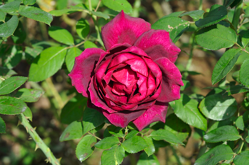 image0470
