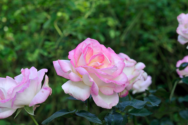 image0472