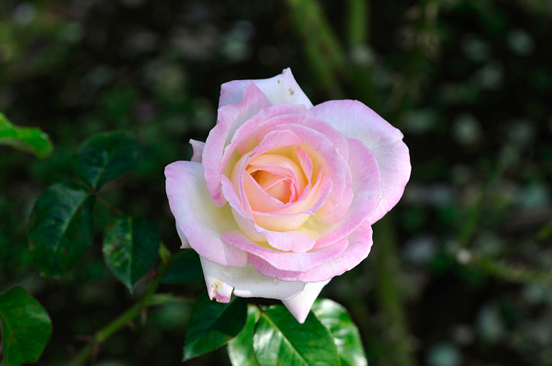 image0473