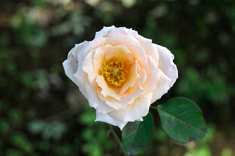 image0477