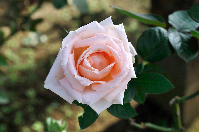 image0478