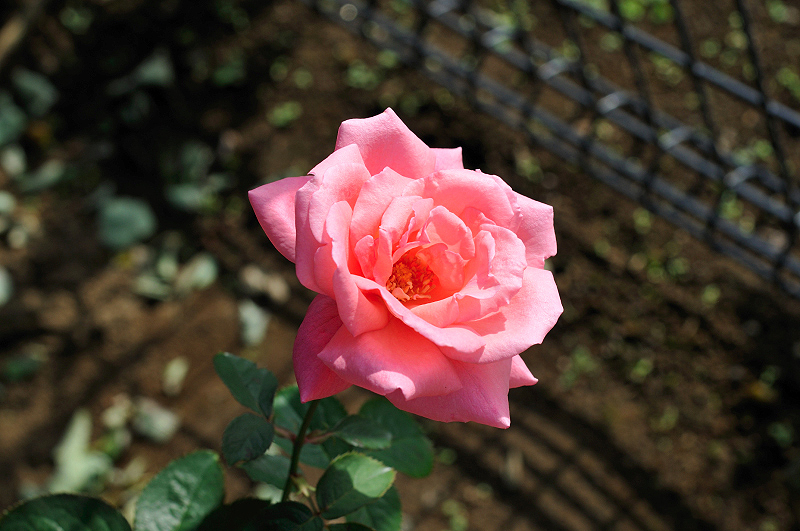image0480