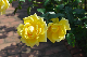 image0224