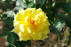 image0225