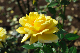 image0226