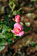 image0231