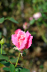 image0232