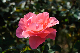 image0235