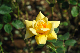 image0244