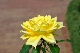image0254