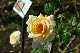 image0255