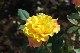 image0263