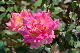 image0264