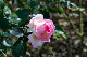 image0266