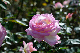 image0267