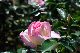 image0269