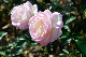 image0270