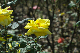 image0272