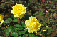 image0273