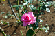 image0274