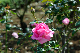 image0276